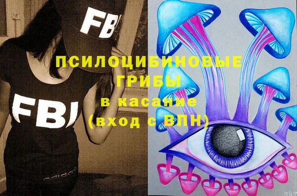 ПСИЛОЦИБИНОВЫЕ ГРИБЫ Нефтекумск