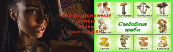 прущие крисы Новокубанск