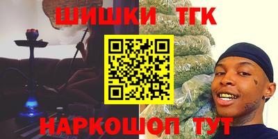 крисы Моздок