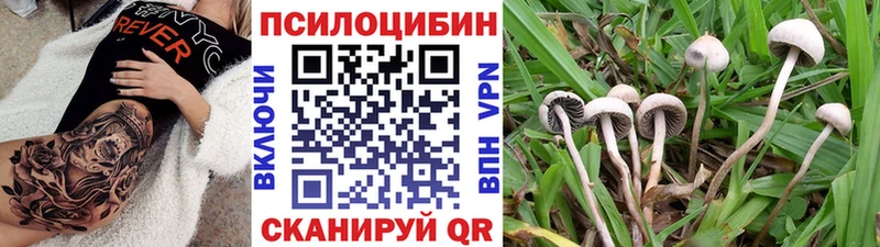 Галлюциногенные грибы Magic Shrooms Шебекино