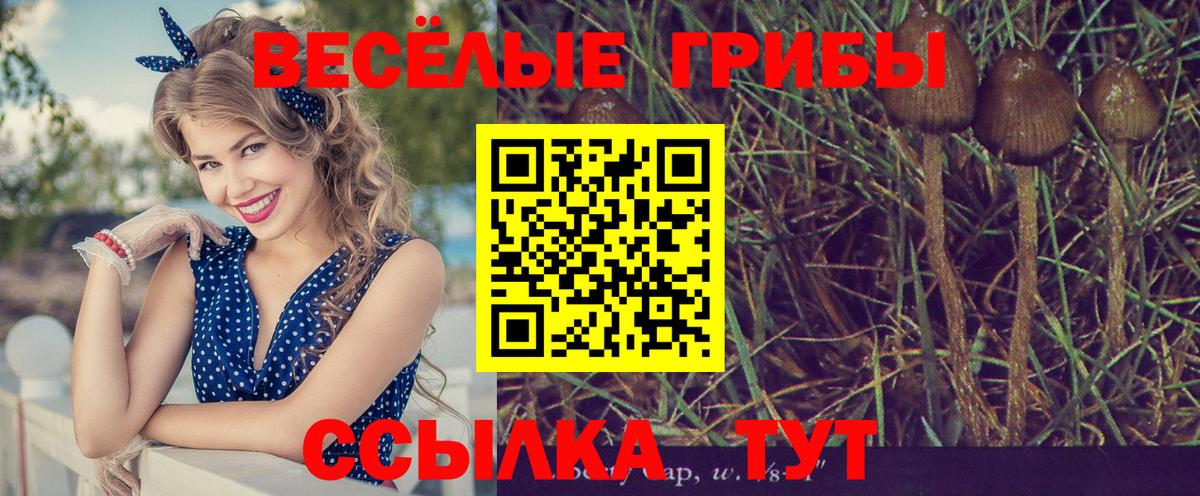 Шебекино  Галлюциногенные грибы мухоморы  Вход с VPN 