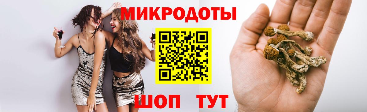 Галлюциногенные грибы Cubensis  Шебекино 