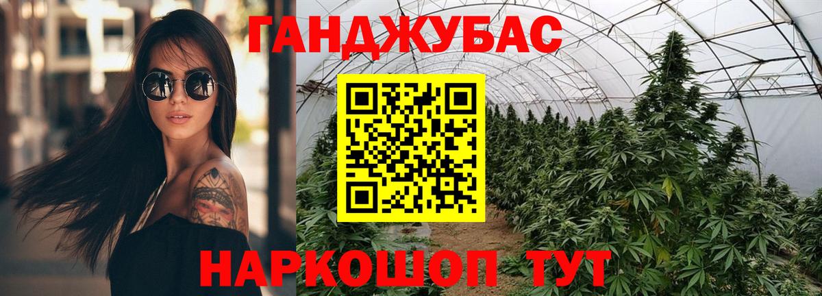 Канабис план  Шебекино  Канабис LSD WEED  Каннабис марихуана 